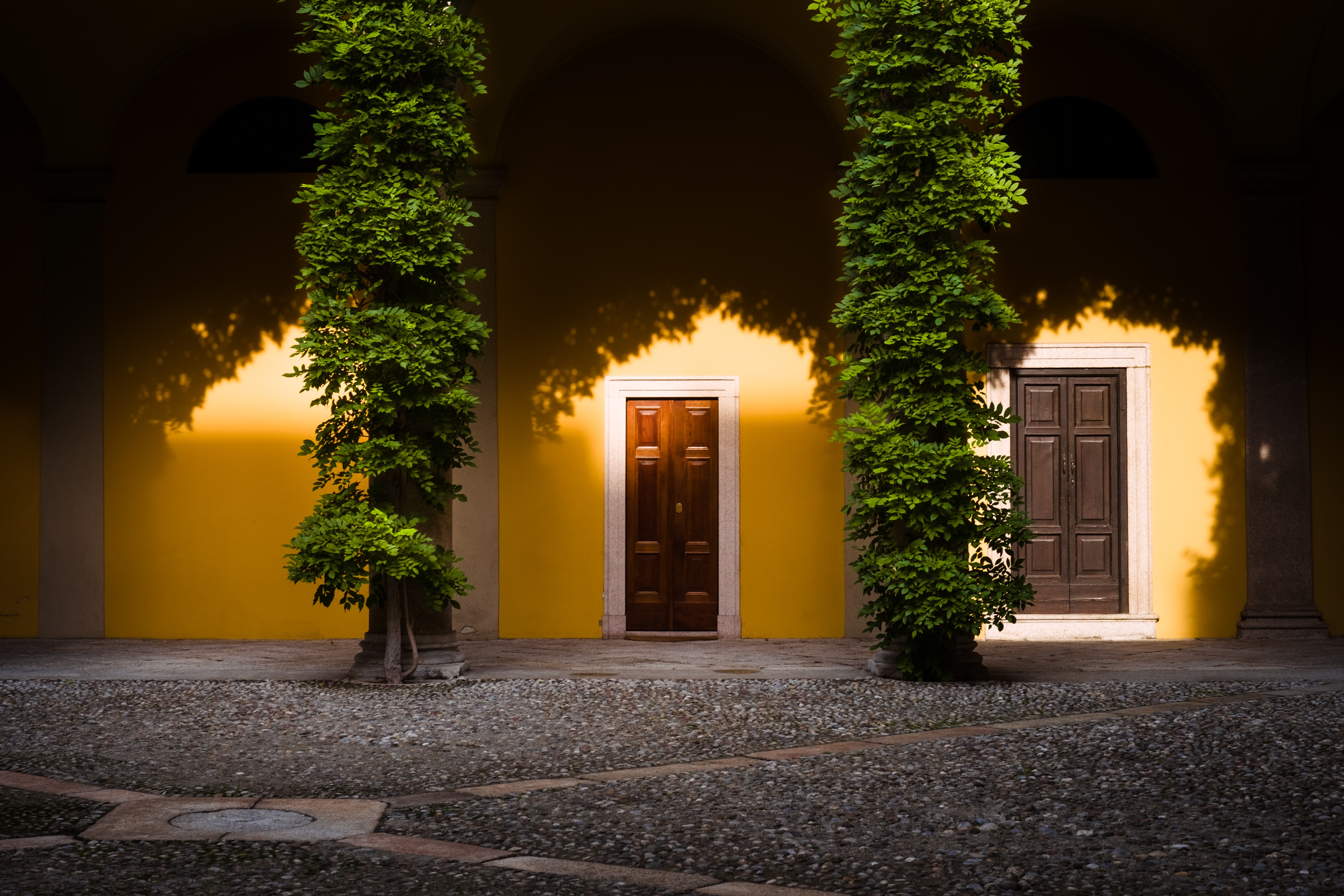 Kostenlose foto : Baum, Licht, die Architektur, Nacht-, Haus